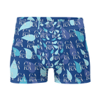Boxer Briefs CaRaUaNa blue sky Carauana Store
