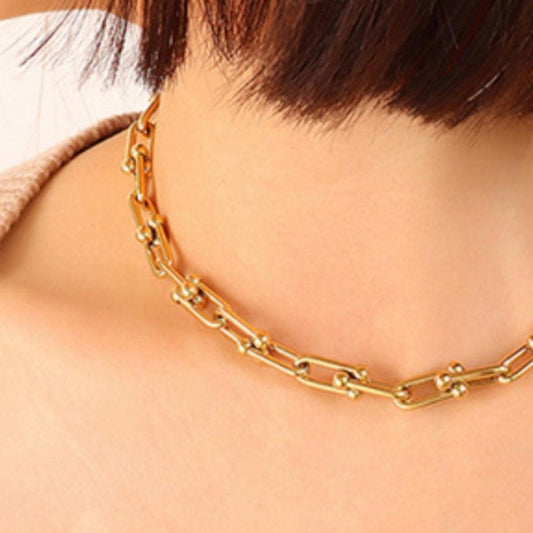 Chunky Chain Titanium Steel Necklace Carauana Store